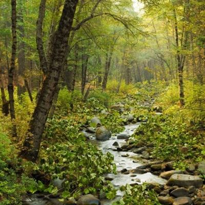 乐鱼app官网正式版下载截图