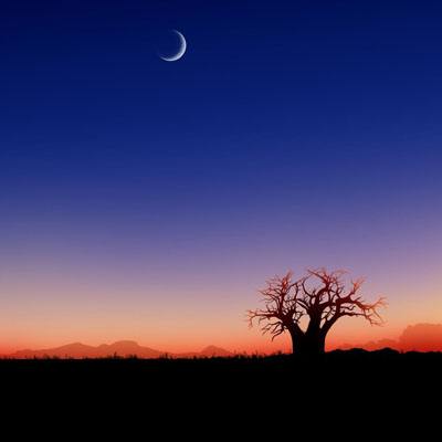 乐发lvapp下载截图